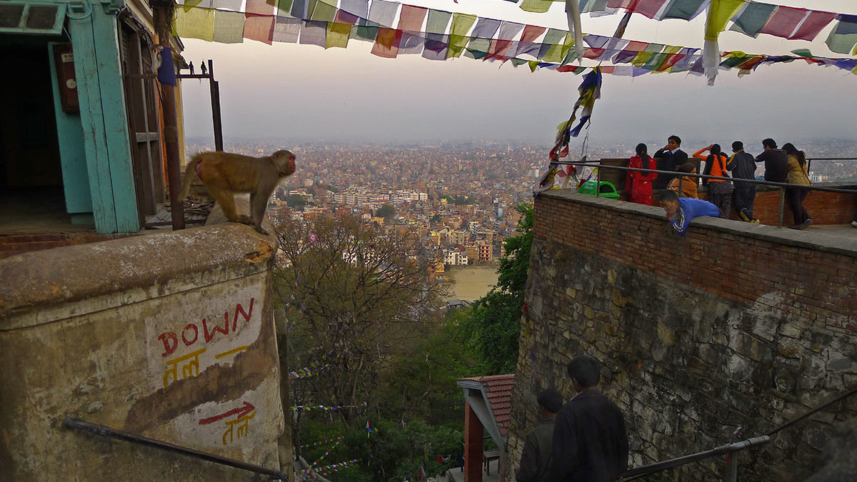 A view of a city in the distance below with a monkey leaning over a ledge on the left and people on a ledge on the right with prayer flags strewn between