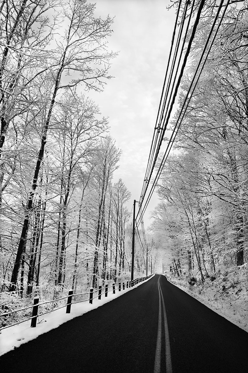 Black and white image of black road flanked by spindly trees with snow