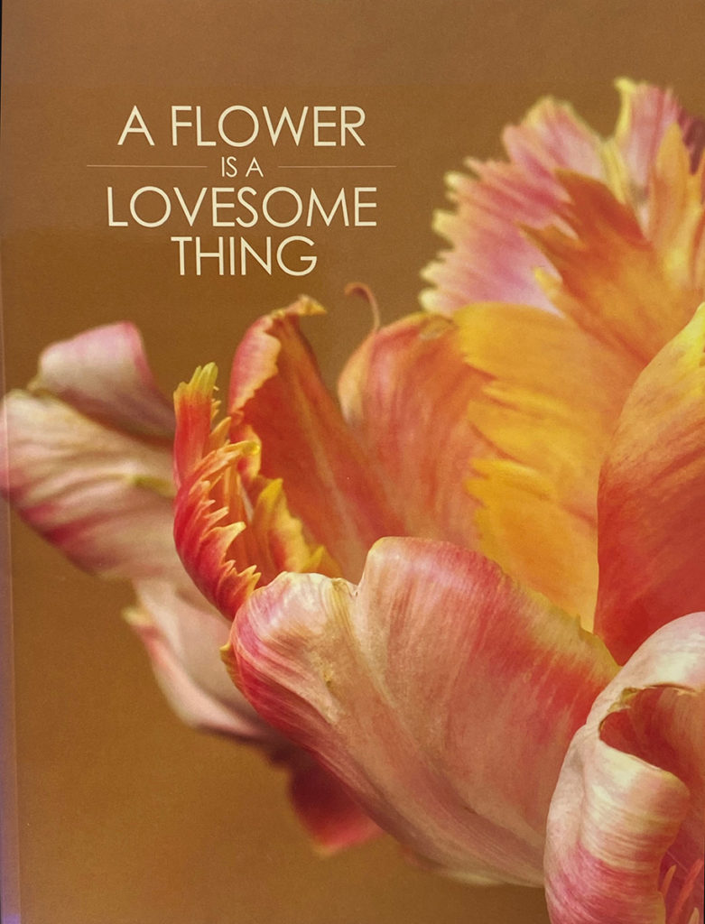 A Flower is a Lovesome Thing/Notables of Note Jeanne MoutoussamyAshe